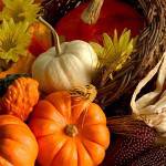 Happy Thanksgiving Everyone!